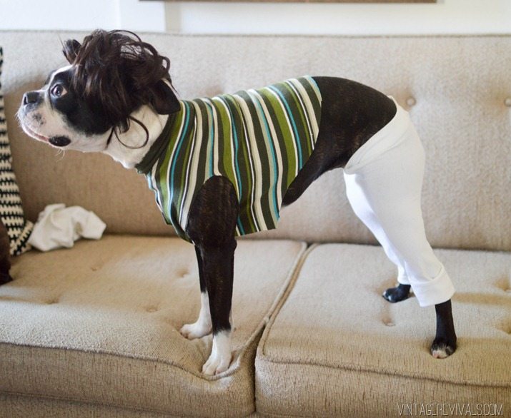 Jimmy Fallon Tight Pants Dog Costume-13