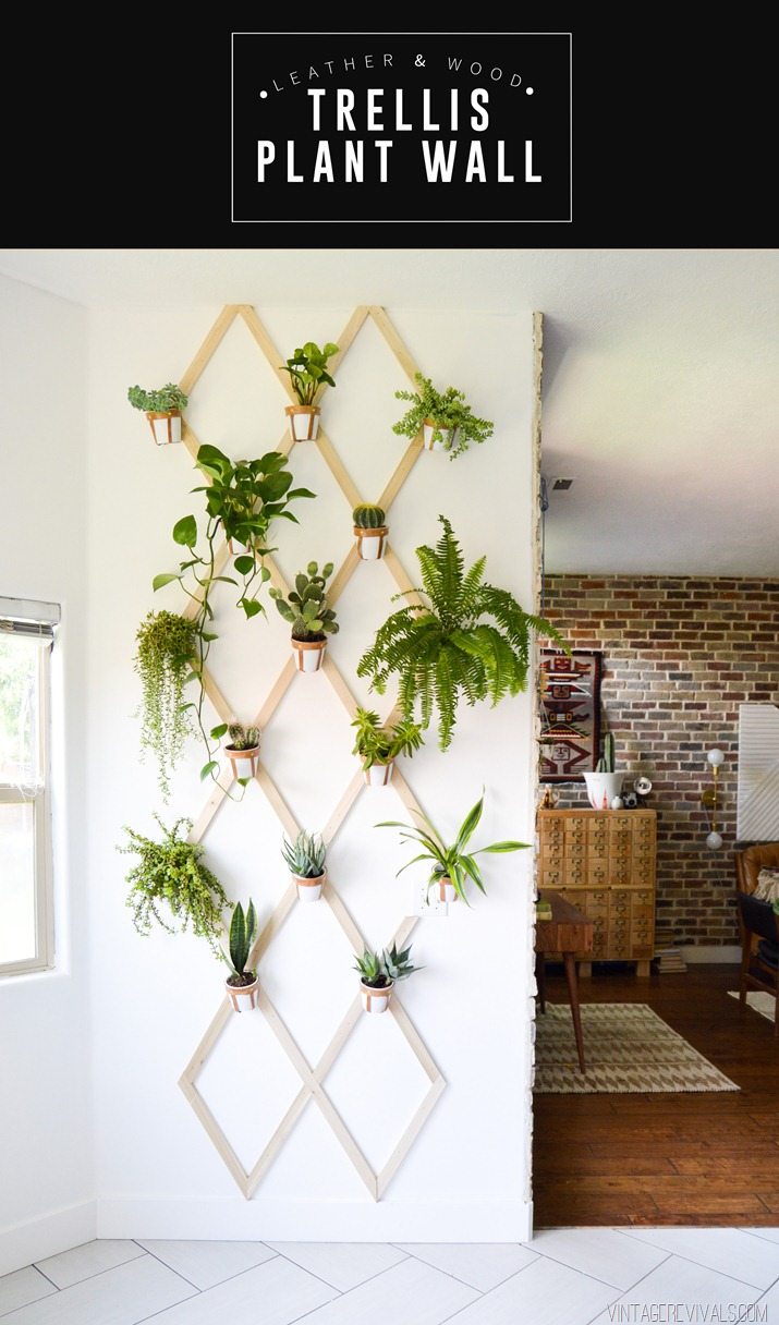 DIY Leather and Wood Indoor Plant Trellis Wall Tutorial