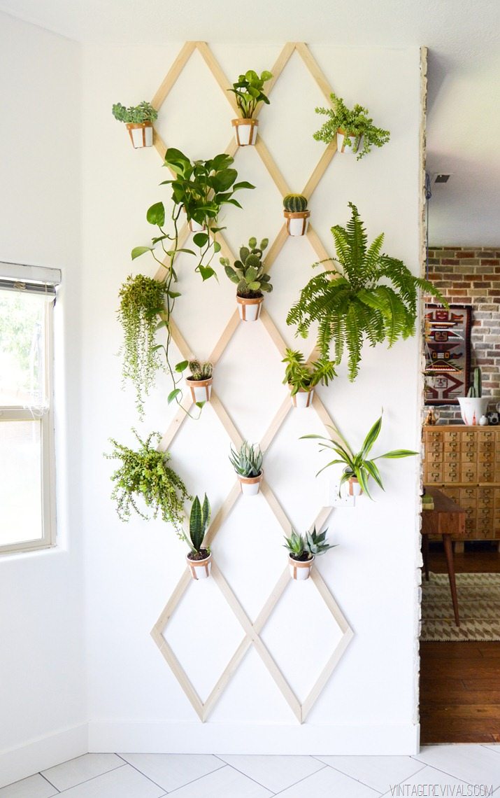 DIY Wood and Leather Trellis Plant Wall • Vintage Revivals