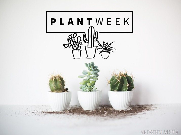 Plant Week Graphic