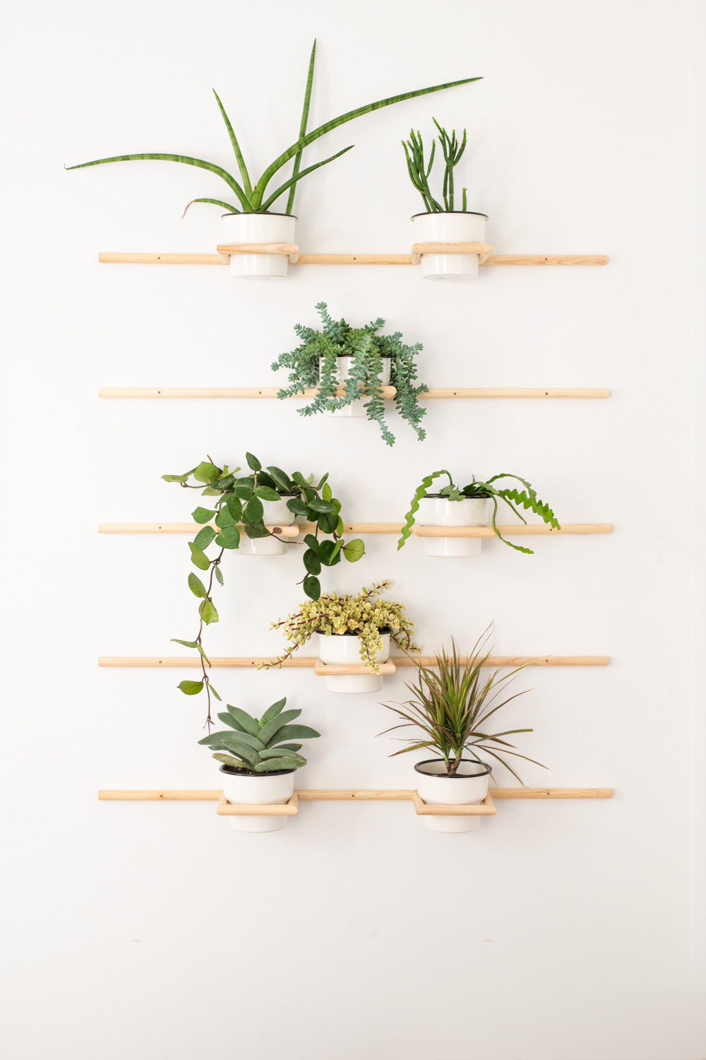 Ægte kunst Decrement DIY Living Wall | Wooden Dowel Plant Holders • Vintage Revivals