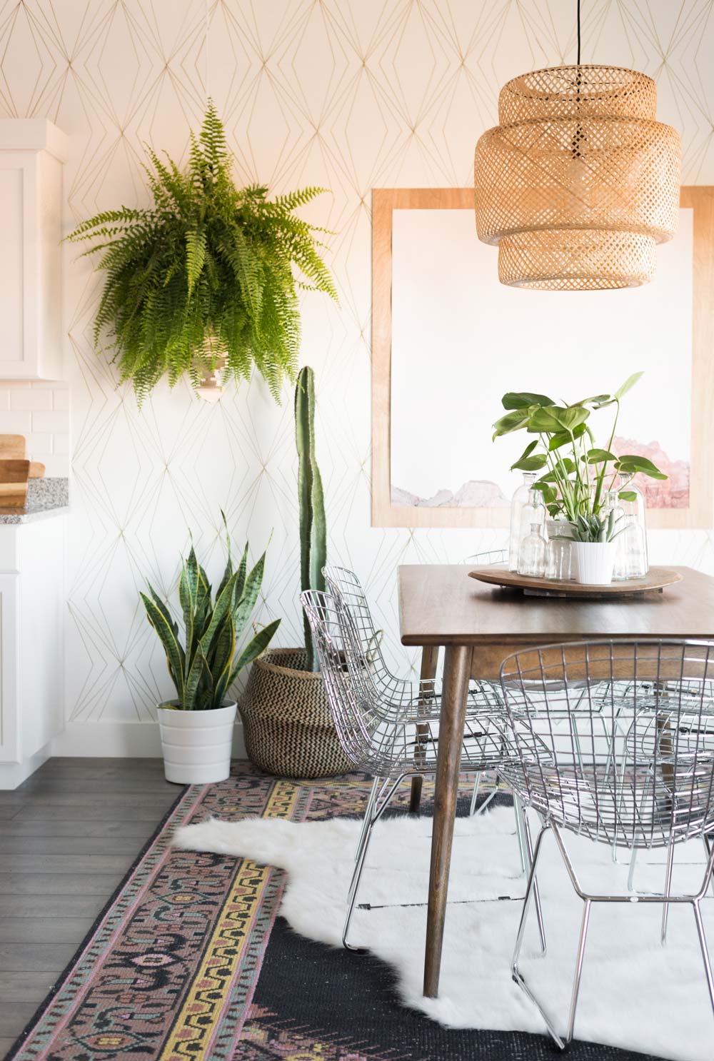 indoor hanging plants low light