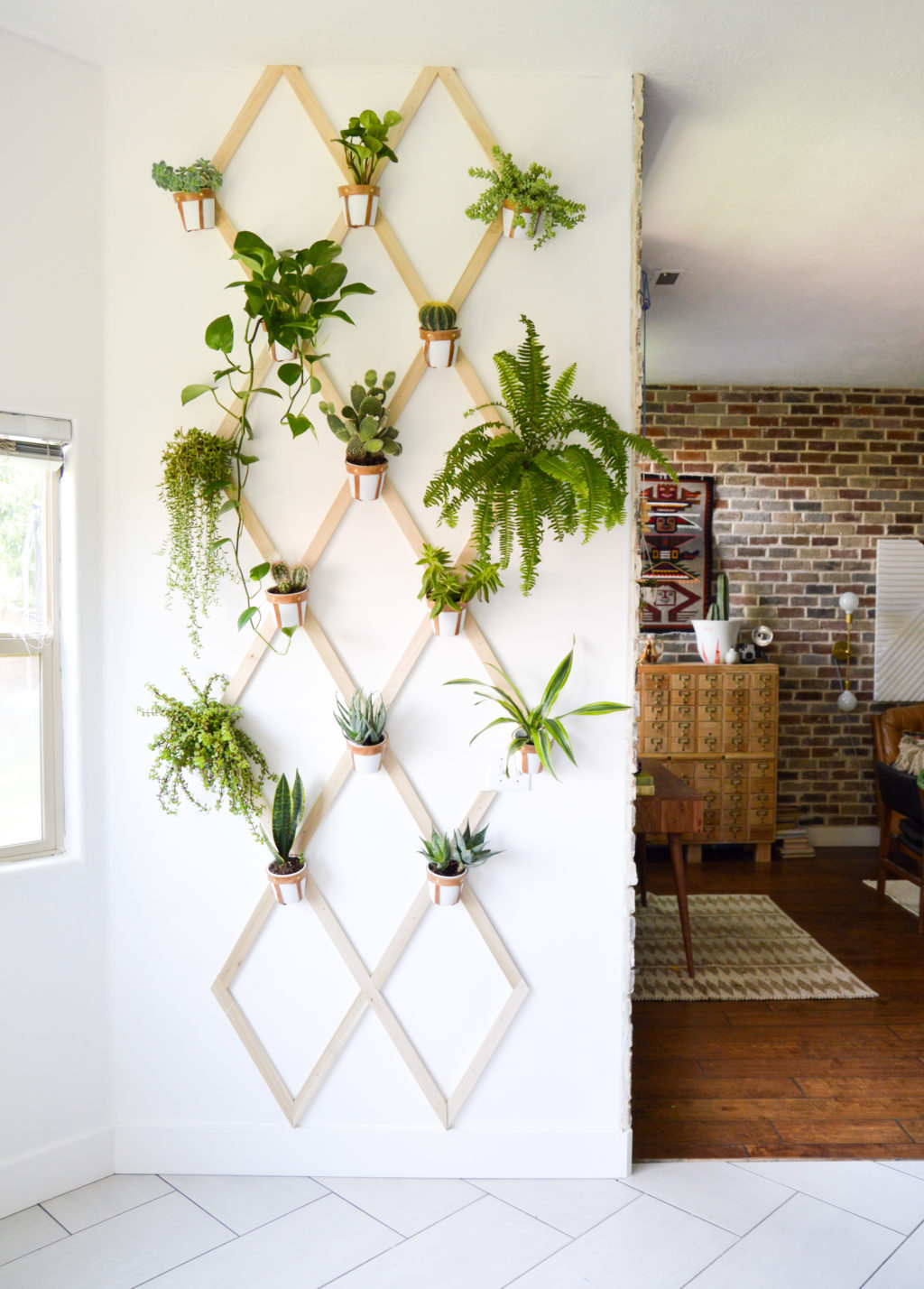 Indoor Trellis Wall with all types of plants including cacti, succulents, ferns, sanseveria, and aloe