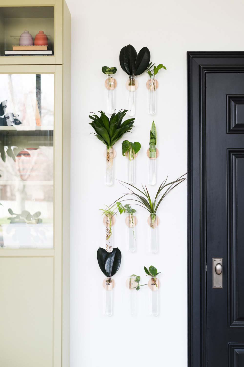 Wood and glass test tube planters hung on wall