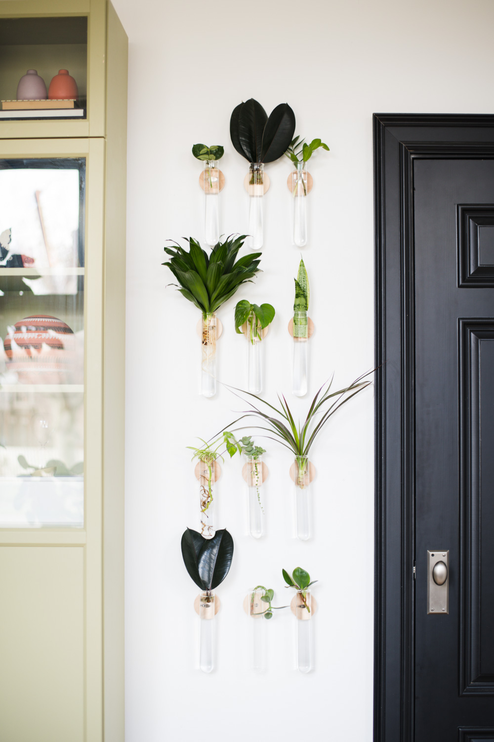 Multiple planters filled with cuttings hanging on a wall